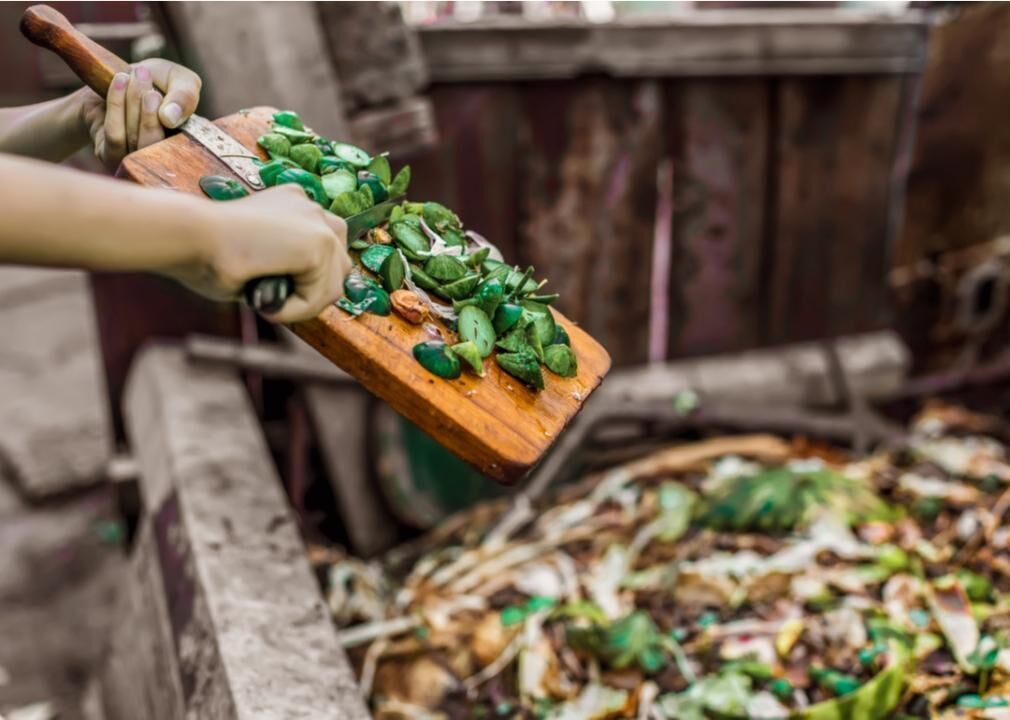 Know the difference between brown vs. green items